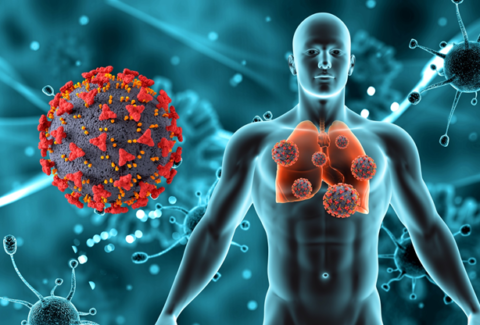 The illustration depicts the biochemistry behind common diseases