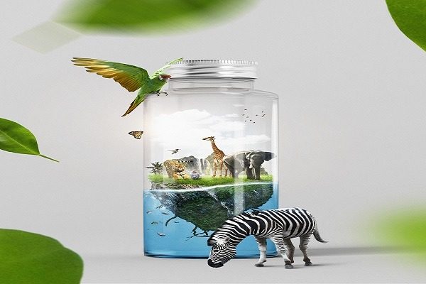 A transparent jar contains a miniature savanna with various animals, including a giraffe, elephant, tiger, and zebras. A green parrot perches on the jar's rim, and a zebra stands outside the jar. Green leaves frame the image against a light gray background. it appears like zoology in a jar